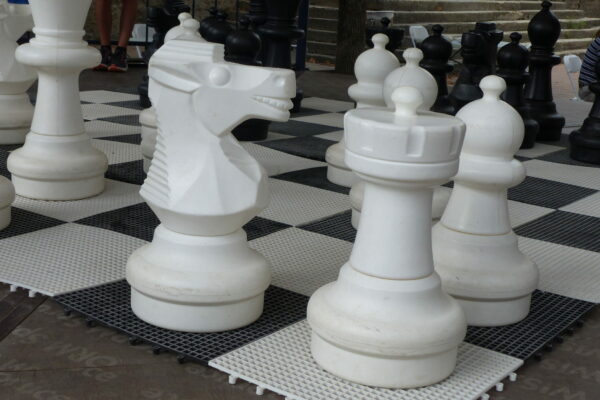 P1030414-scaled